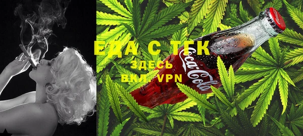 стаф Богданович