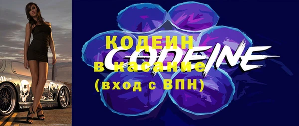 гидра Богородицк