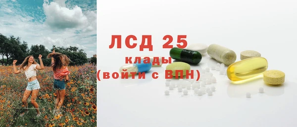 соль ск Богородск