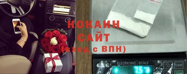 гидра Богородицк