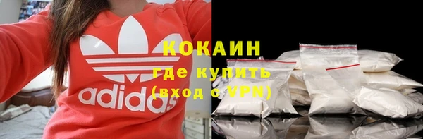 стаф Богданович