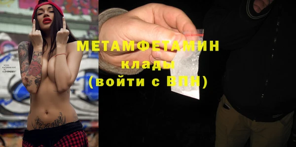 гидра Богородицк