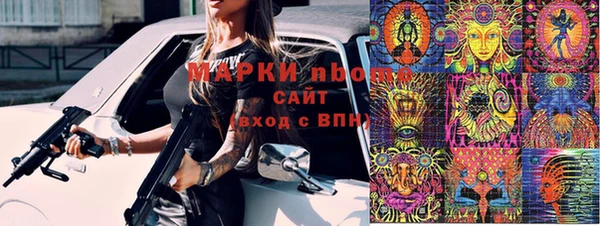 стаф Богданович