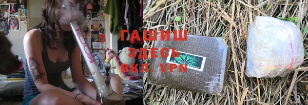 гидра Богородицк
