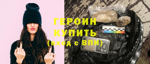 гидра Богородицк