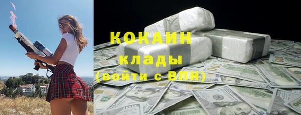 стаф Богданович