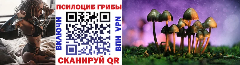 наркотики  Севск  Псилоцибиновые грибы Psilocybine cubensis 